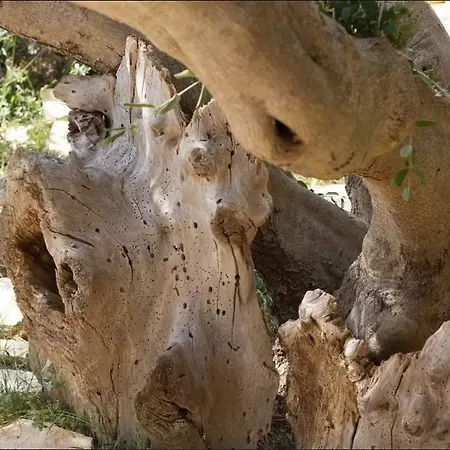 Karina Hébergement de vacances Split